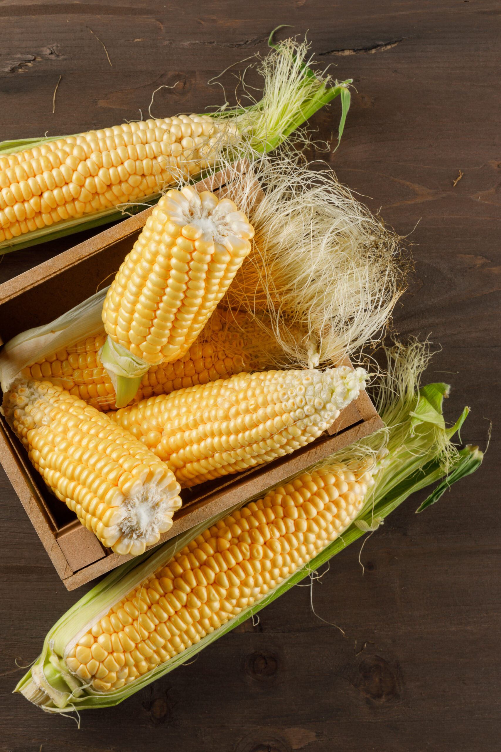 Corn cobs in a wooden box high angle view on a wooden background