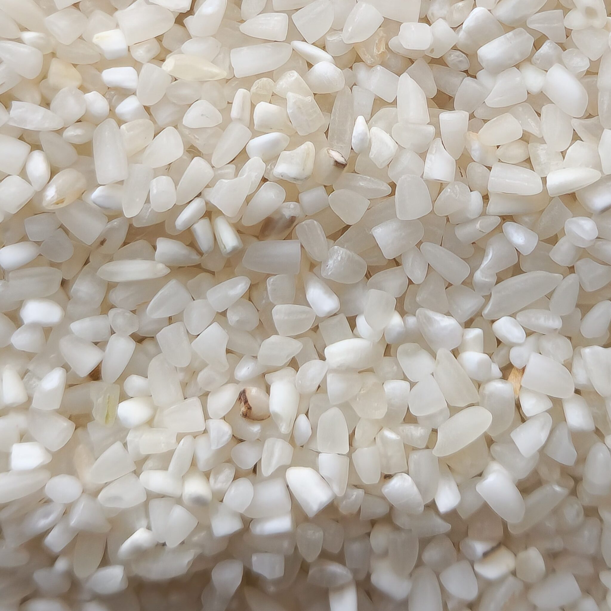 100% Broken Rice Non-Basmati Rice