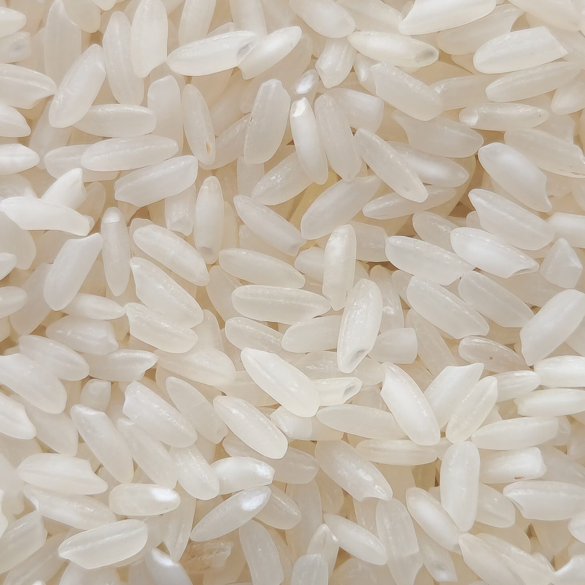 Swarna Short Grain Non-Basmati Rice