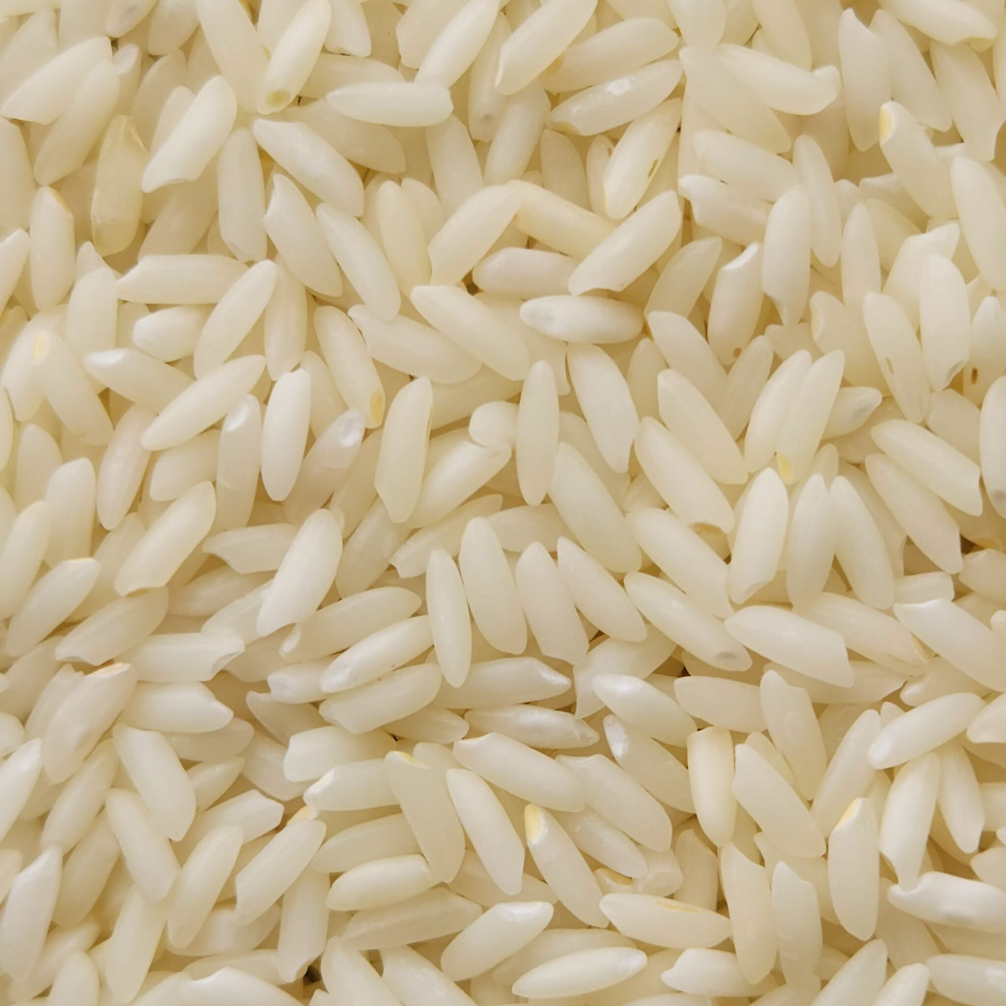 Sona Masoori Steam Non-Basmati Rice