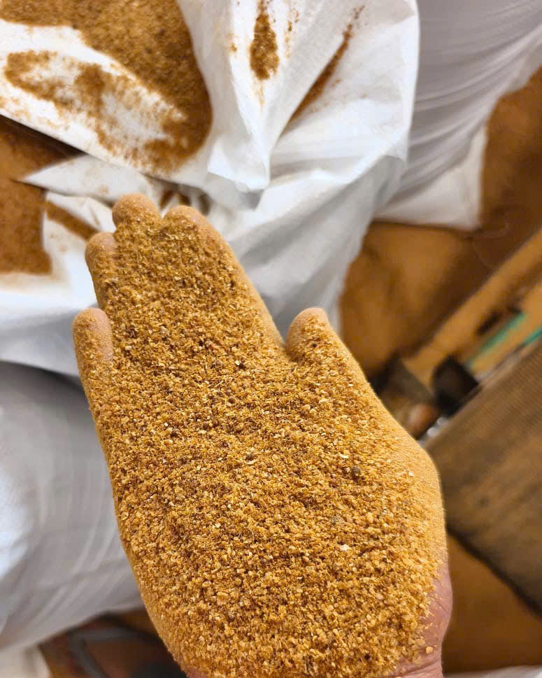 Corn DDGS yellow feed ingredient rich in energy, protein and phosphorus