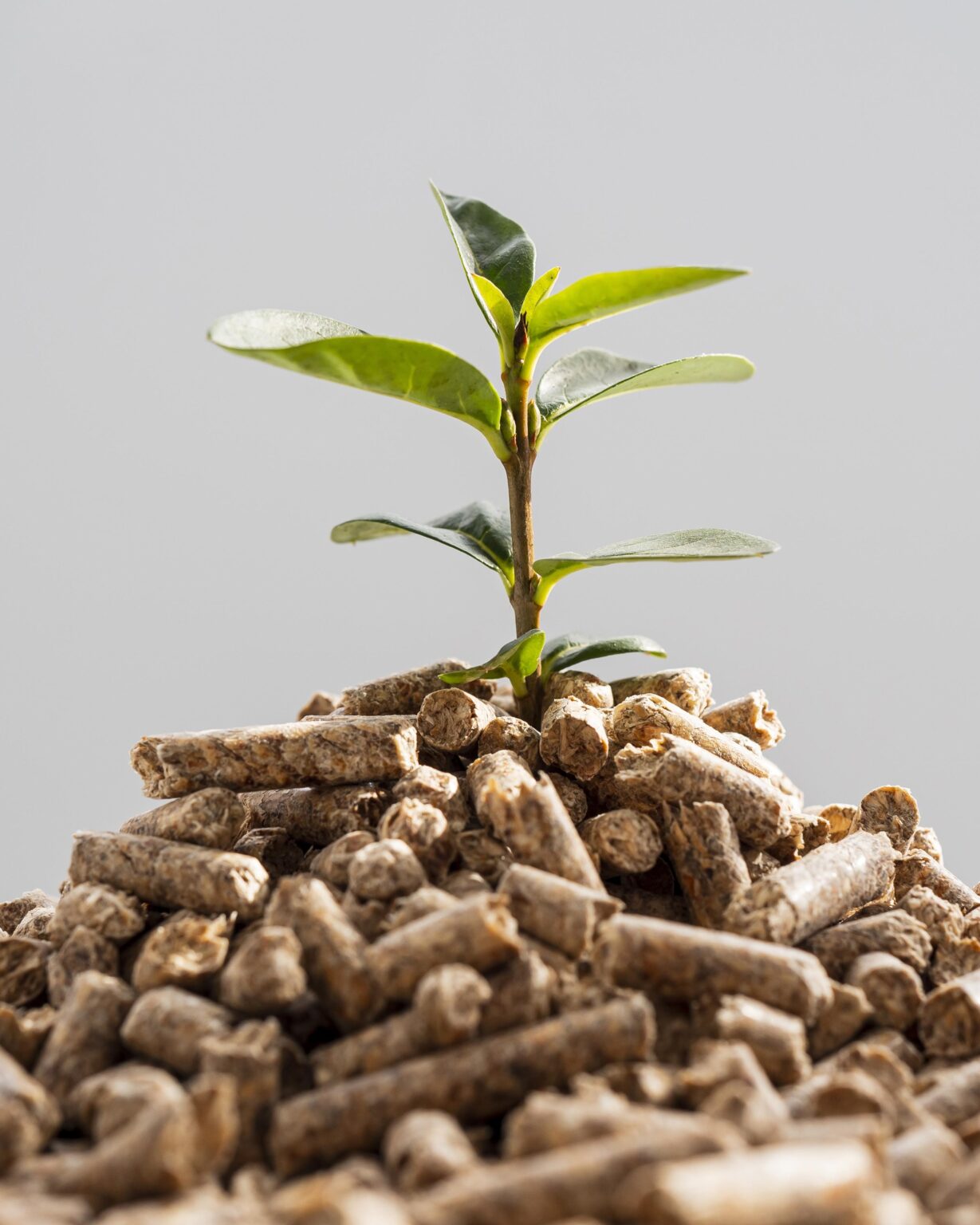 Natural animal feed pellets preserved with mixed tocopherols