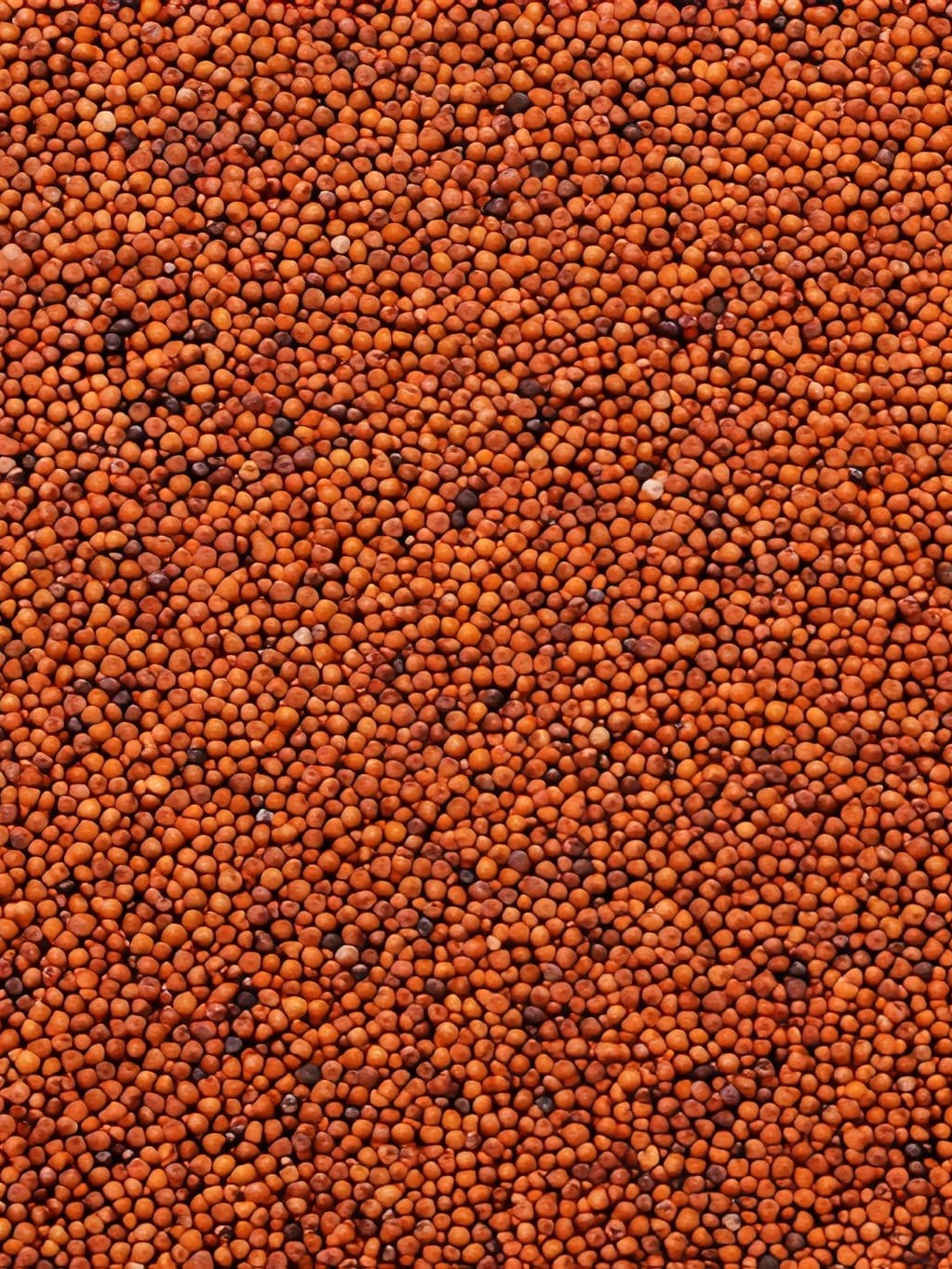 steptodown.com925628